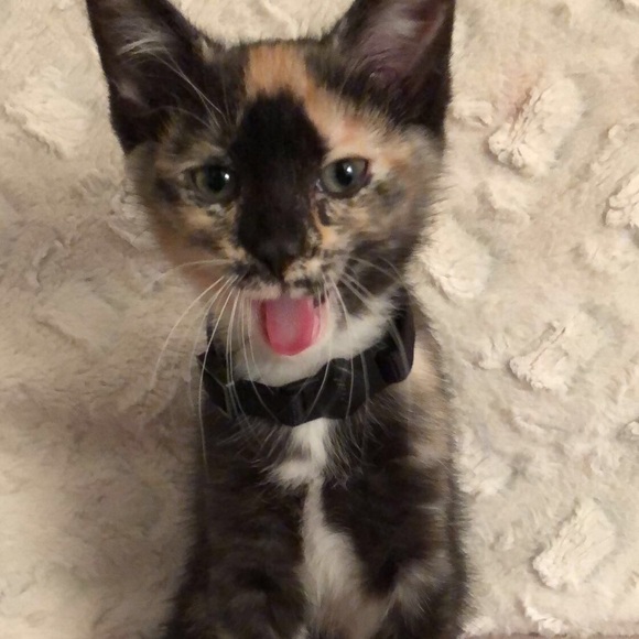 MEET ME 🤗🤗 - Picture 5 of 8